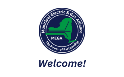 Introducing Kenji Salinas, Our New Energy Specialist